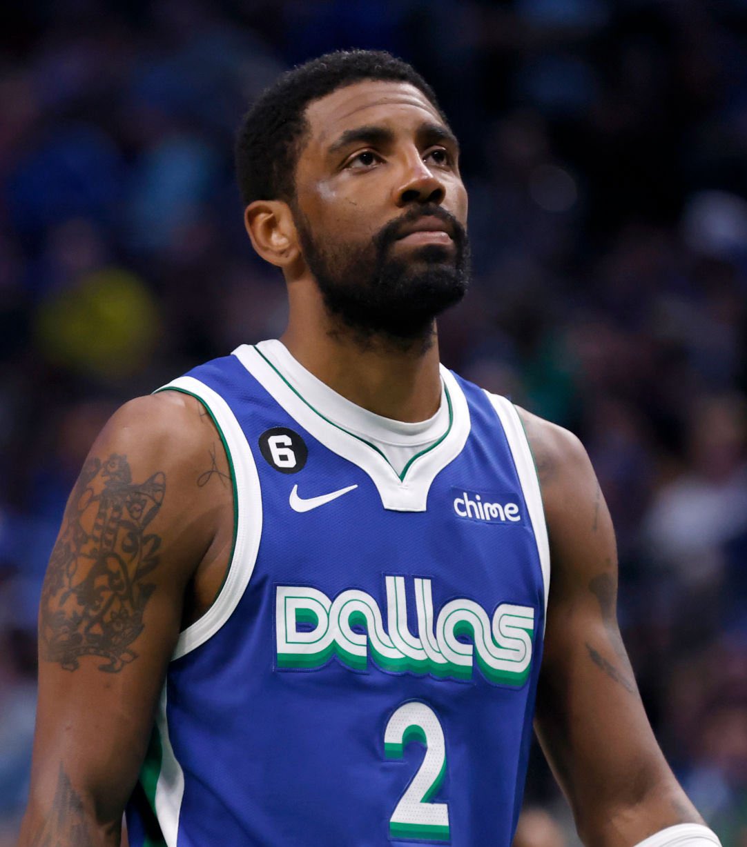 了参考样本 了参考样本