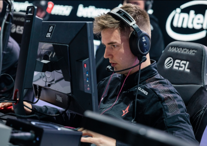 不仅展示了 不仅展示了