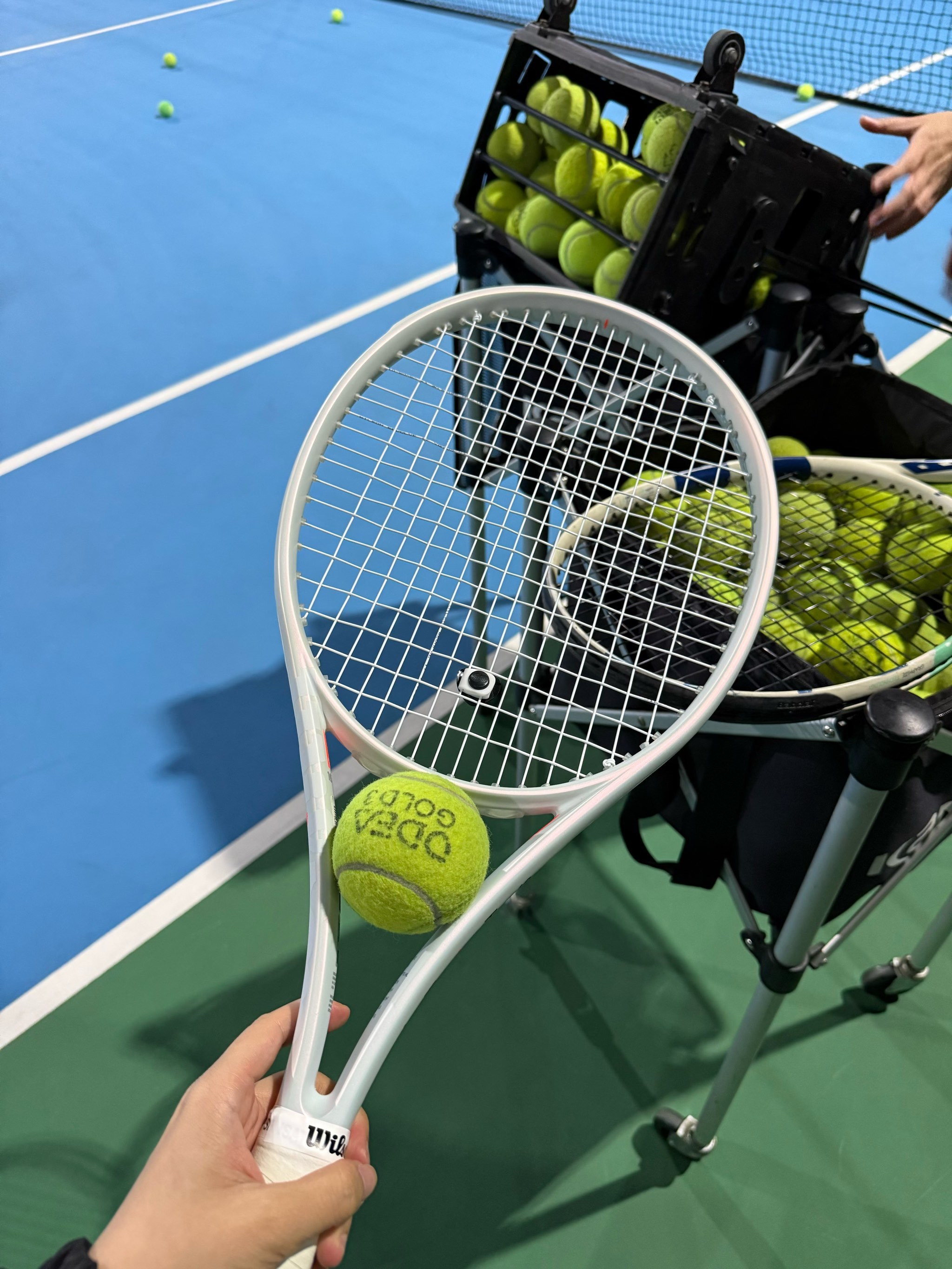 拼搏精神 拼搏精神