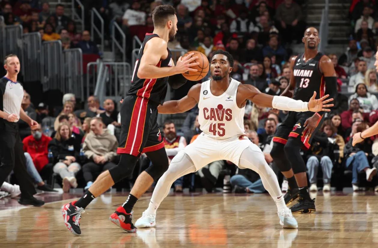 粉丝信任高 粉丝信任高